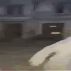 the real silver surfer
